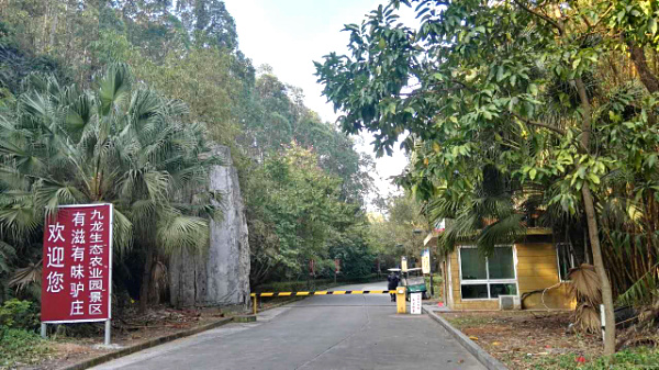 深圳農(nóng)家樂自駕游為什么推薦九龍生態(tài)園？